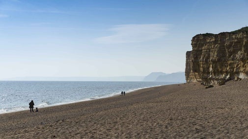 Hive Beach, Dorset, on a sunny day with cliffs to the right